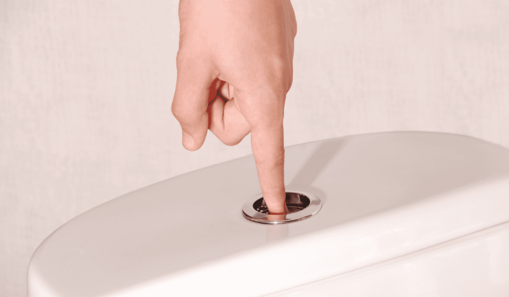 Flush toilet