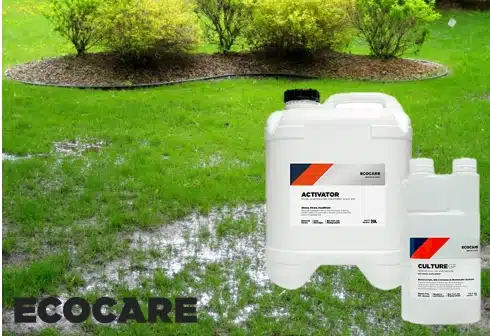 ecocare